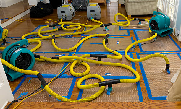 Professional Water Damage Repair technician working in La Puente, CA